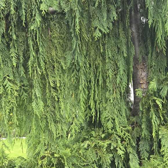 Meet your Posher, Sandra - Picture 5 of 9